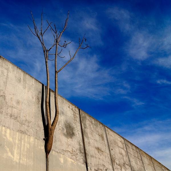 Photograph Jaume Jova  De Lo Efimero Y Lo Invisible on One Eyeland